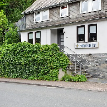 Holiday home Gaestehaus Roth Willingen (Upland)